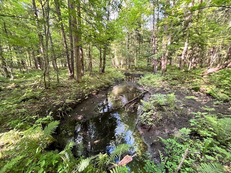 Jefferson_260.3_ Lobach_Photos_24