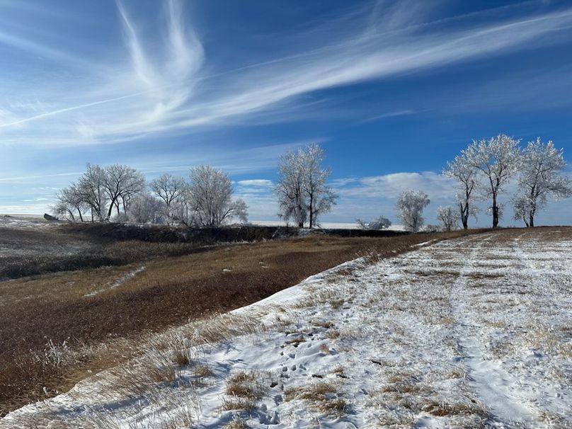 232EC348-6D1F-4B20-925E-0538DBCFE3B4_1_105_c