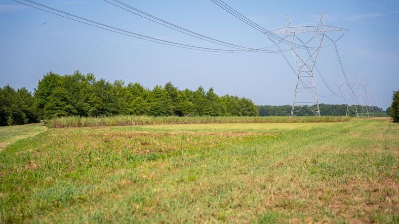 MadisonParLa1372-121