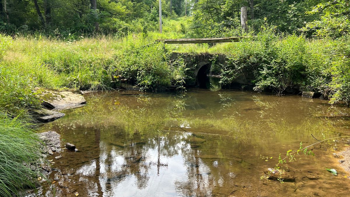 Building Potential With Native Trout Stream Whitetail Properties