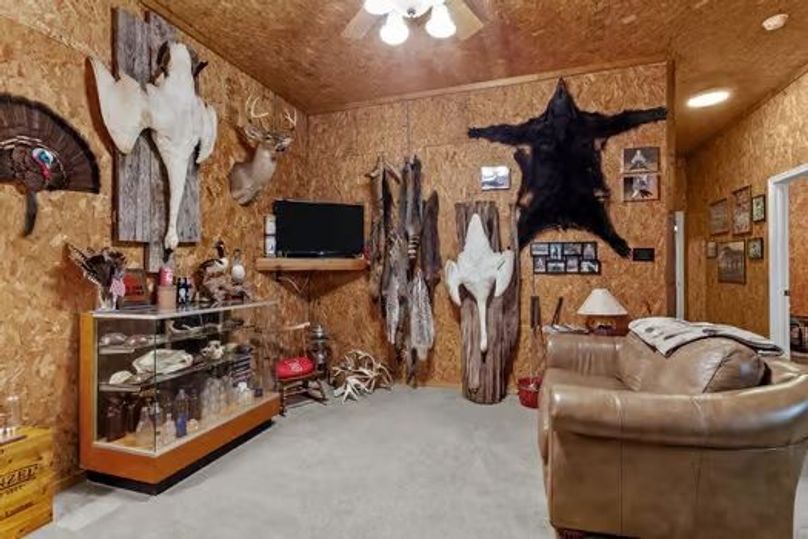 large-018e903b-4d2e-72d4-b496-00674b9d73e1