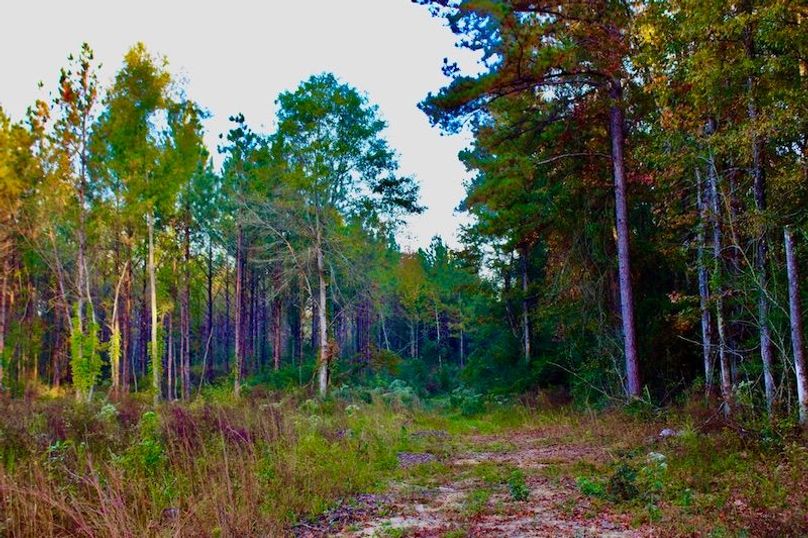 123792EE-738E-4832-988B-3F4F70145A3A_1_105_c