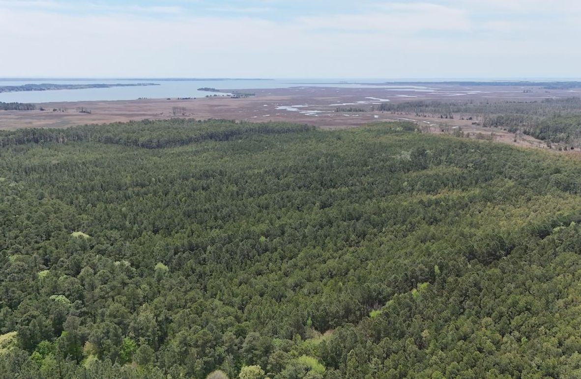 dji_fly_20250424_132924_0021_1745526022830_photo