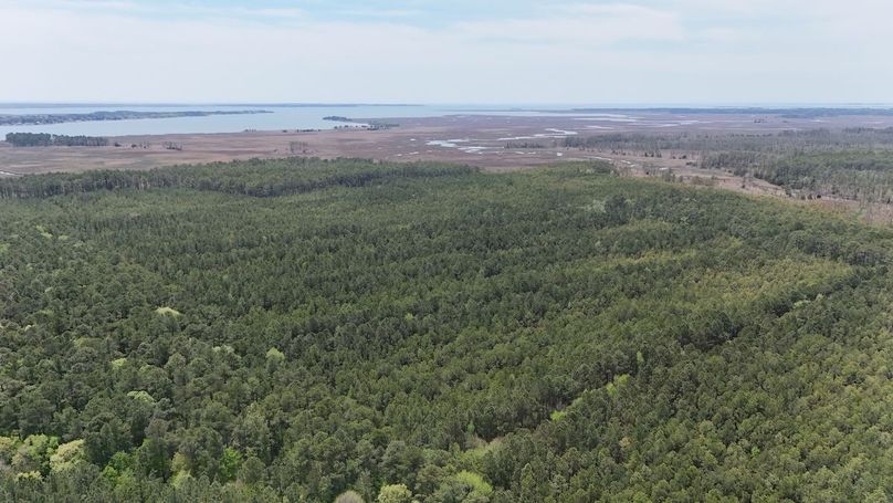 dji_fly_20250424_132924_0021_1745526022830_photo