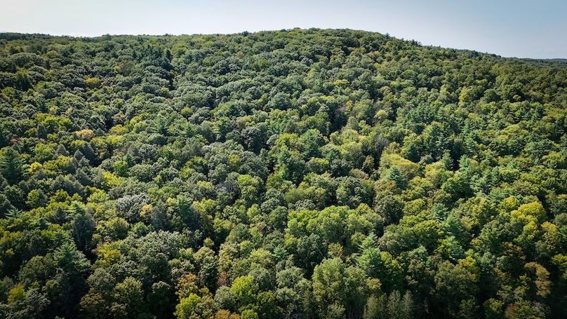 Tioga NY 86.705 Capwell Photos 16