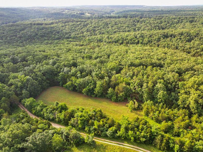 DJI_20260602075556_0244_D