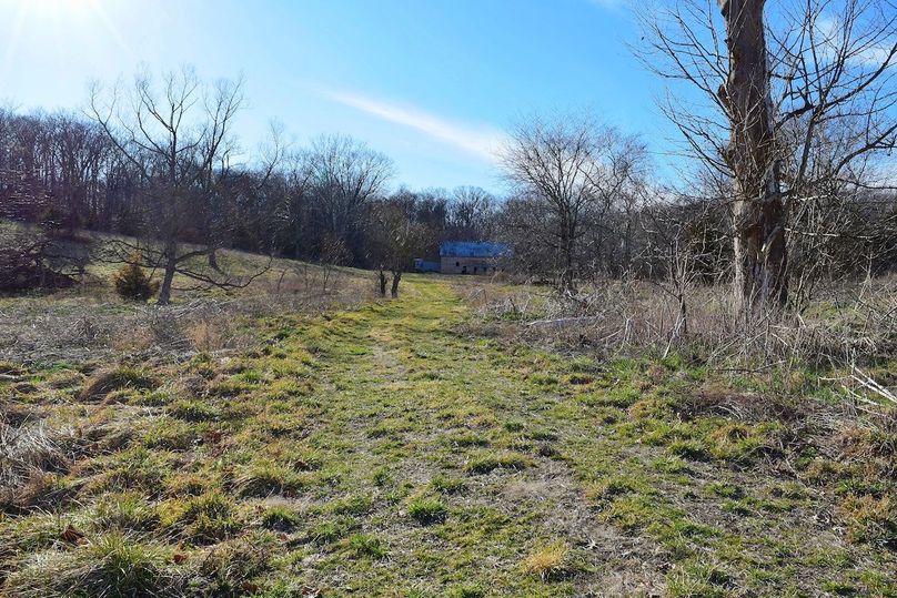 DSC_0340_inPixio (2)