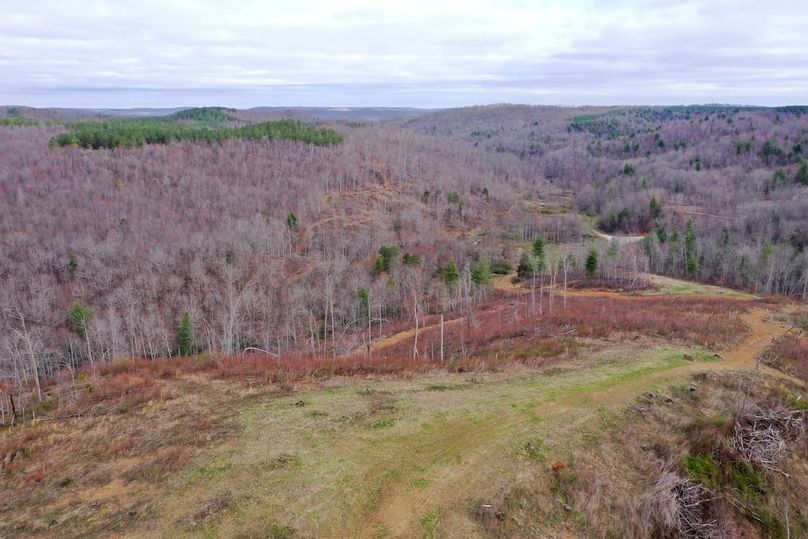 DJI_0457