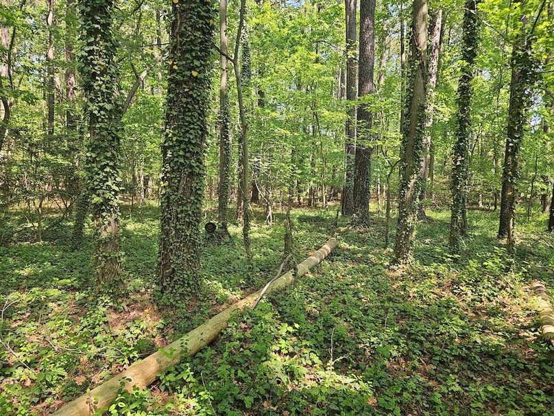 2.72ac_St Marys Rd_QAnnes_19