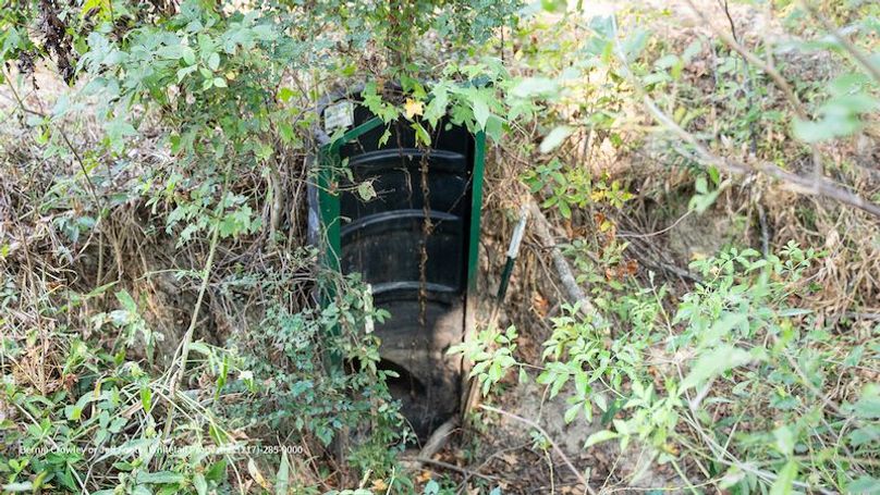 Tallahatchie 847 Messina-43