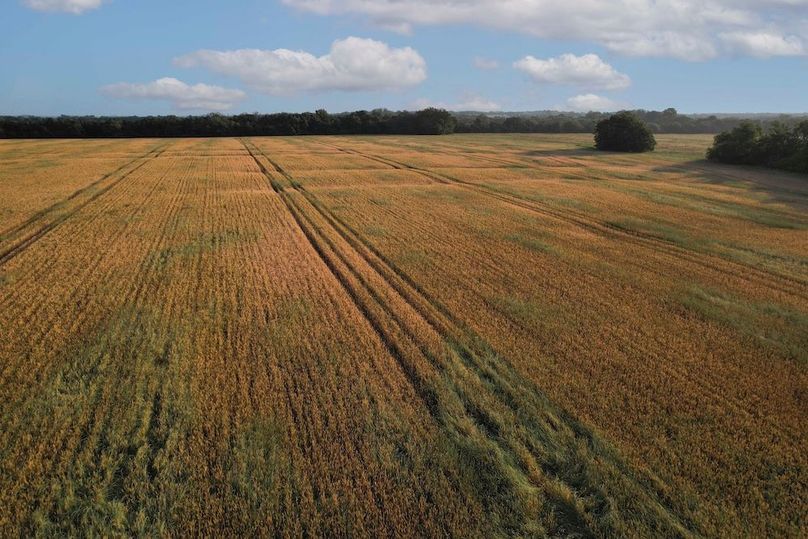 Lamar County- 92.66 Acres (14 of 29)