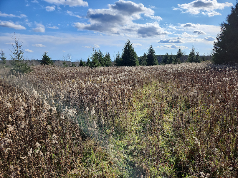 photo_ed189050-0e2a-4c5f-ac4f-2f6dfcc7d12d