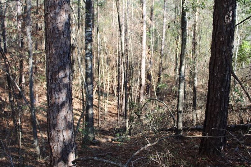 FFE74A4F-D4EB-406D-B08A-053A396C481C_1_105_c