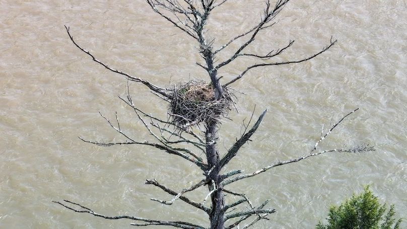 Clarion River-47