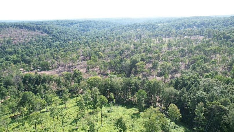 dji_fly_20250624_102436_348_1750775367148_photo