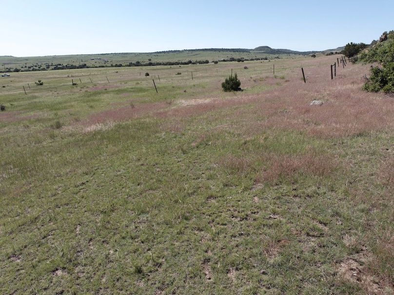 DJI_20250619093503_0023_D