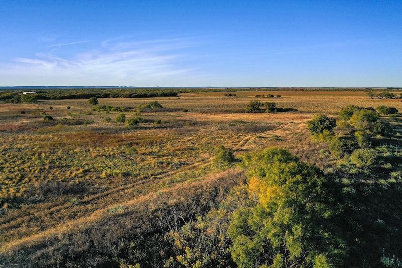 org_c99bf2479f169a61_1762732176000