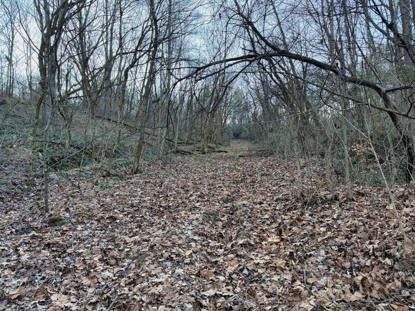 024 older trail heading towards the ridgetop from one of the flats-2