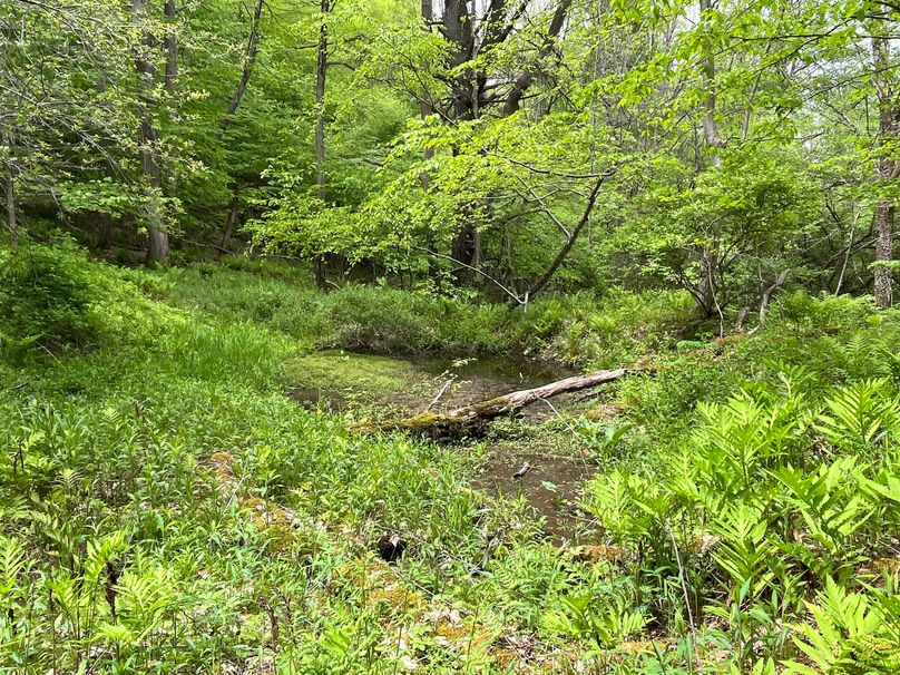 Tioga_18.72_Coulson Photo 16