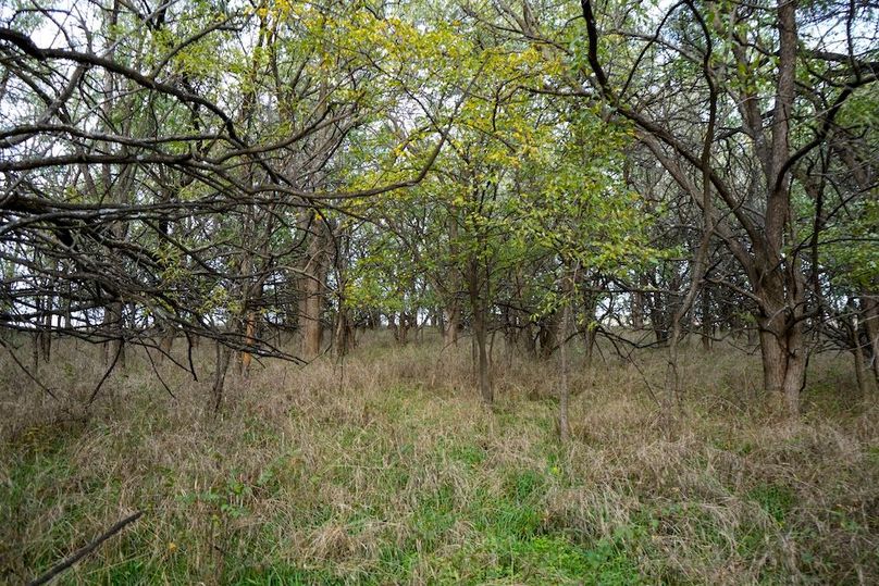 Dickinson Co, 154.5_010