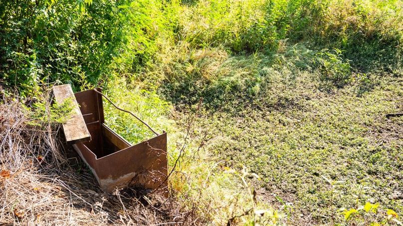 MadisonParLa1372-139