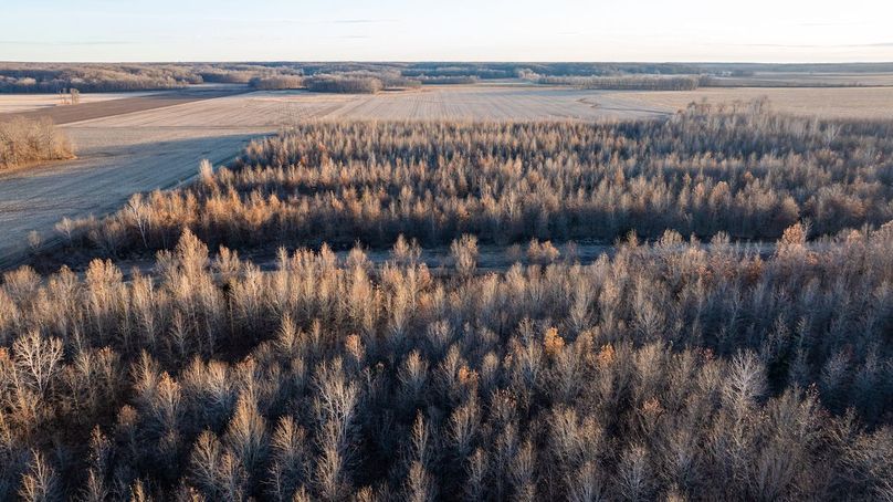 DJI_20251221161017_0022_D