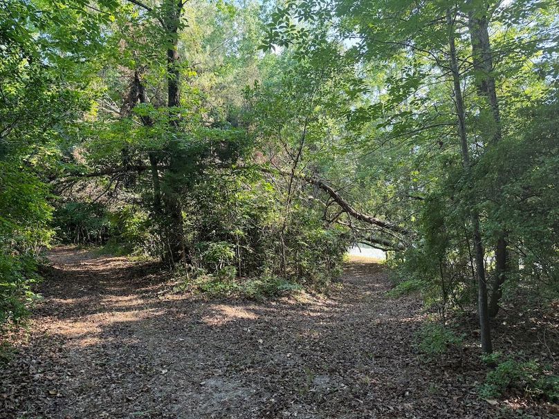 9 - trail 6 with pond access