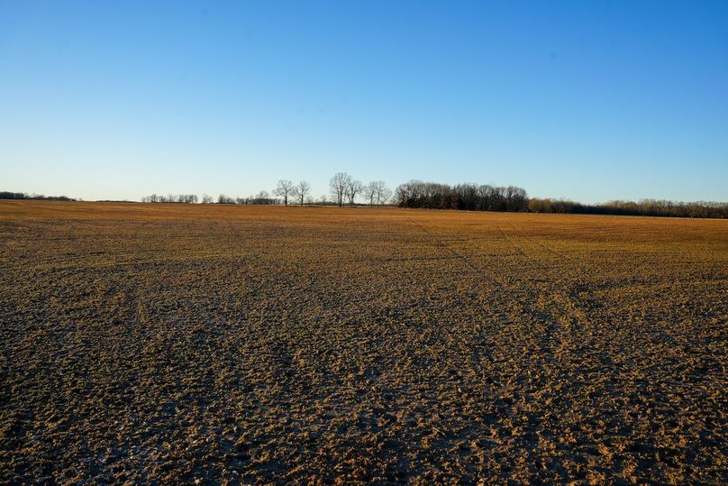 DSC02478bluestem