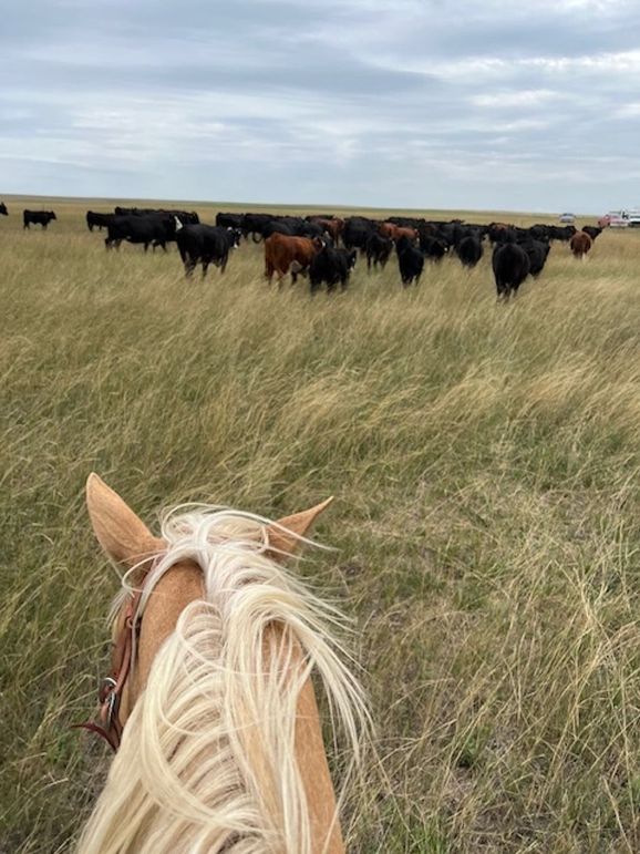 ea157b51-eede-4c59-82c7-e33cfb3f01ad