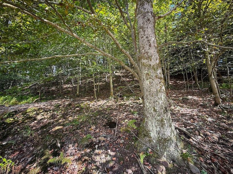 Oswego NY 18.18 Martin Photos 44