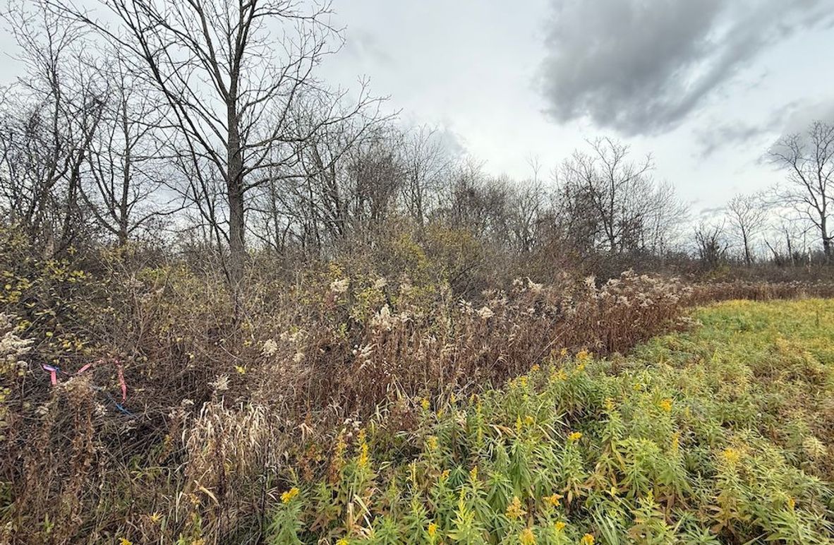 Tompkins_5.12_Galarza Photo 2