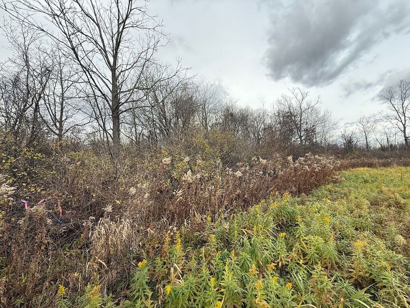 Tompkins_5.12_Galarza Photo 2