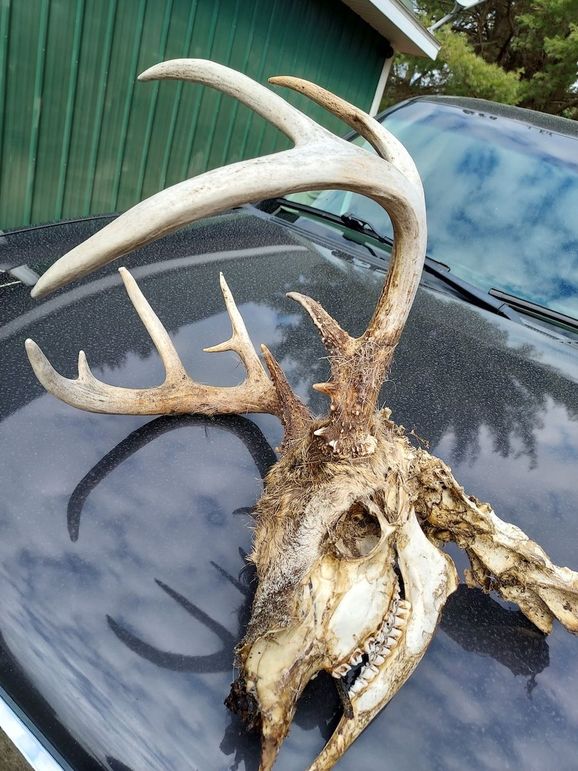 Resized_20230408_164507