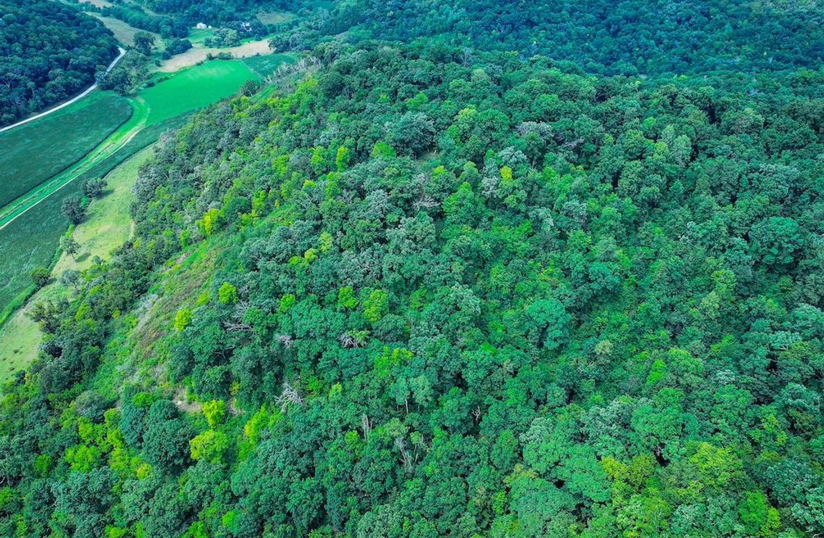 New Albin 8_8 edits-11