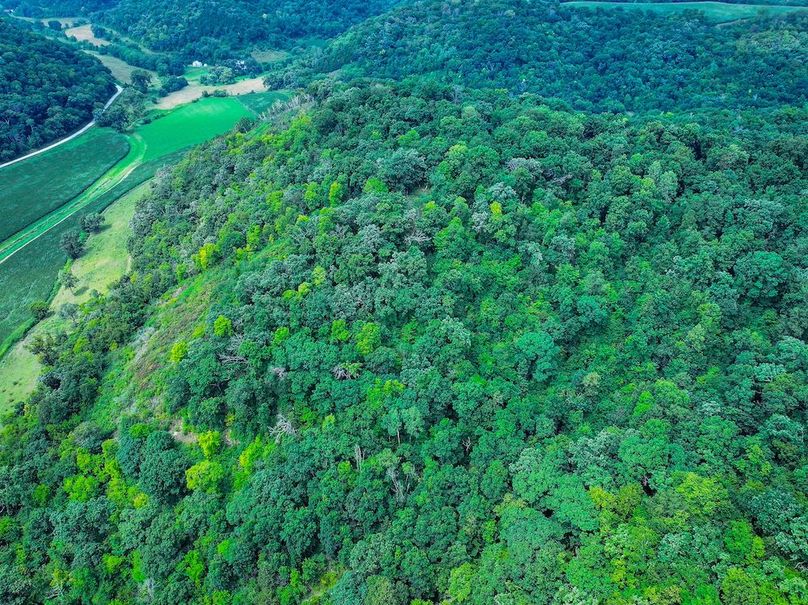 New Albin 8_8 edits-11