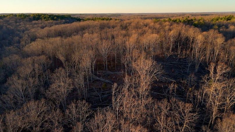 DRONE.00_21_59_06.Still052