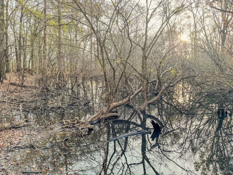 St. Francis 216.9 Calvin Parker Farms Profile -43