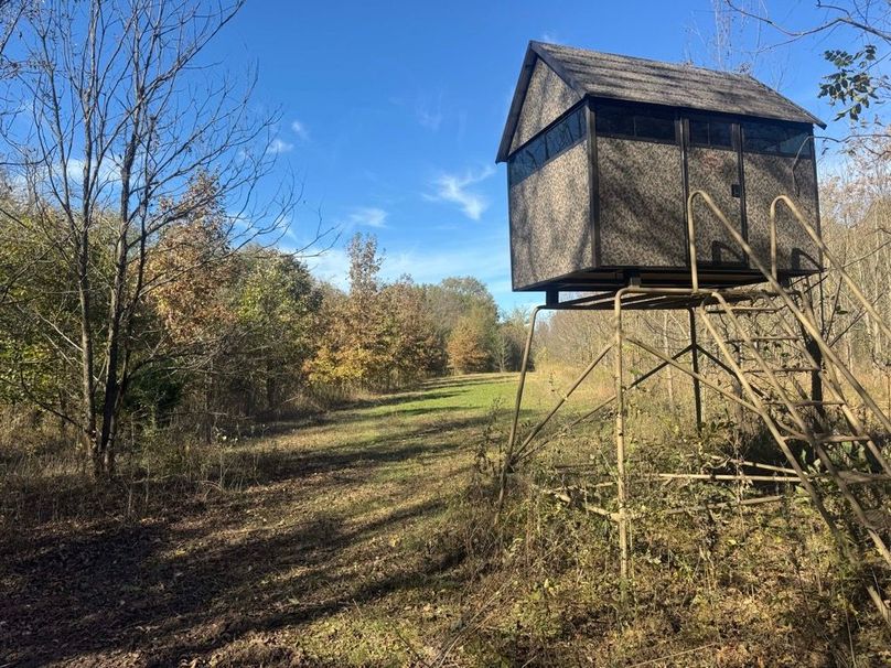 1a1 jeff 8320251111_0266