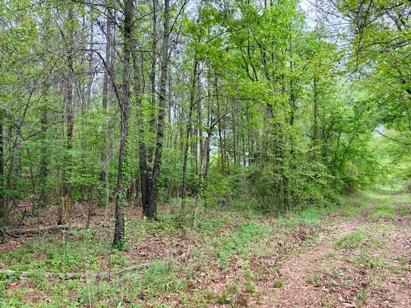 CBB08F27-7E6D-48BD-9347-C4FE12D0B262_1_105_c