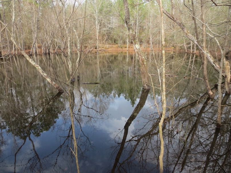 3A03A5FF-65FB-4347-8CF9-CF7988B72CC2_1_105_c