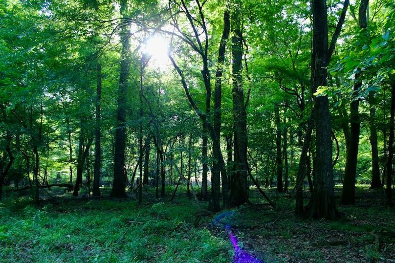 52880569-681C-4120-BCA5-94C23169172C_1_201_a