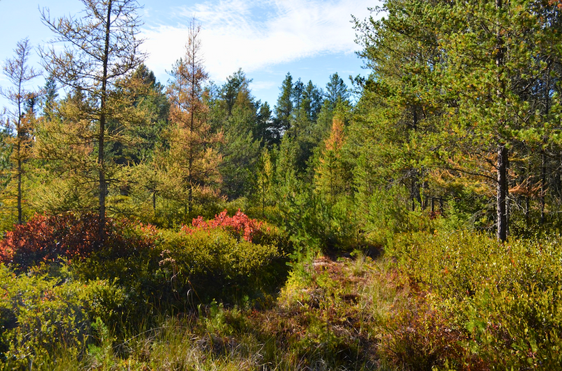 Screenshot 2025-11-14 at 11.06.00 AM