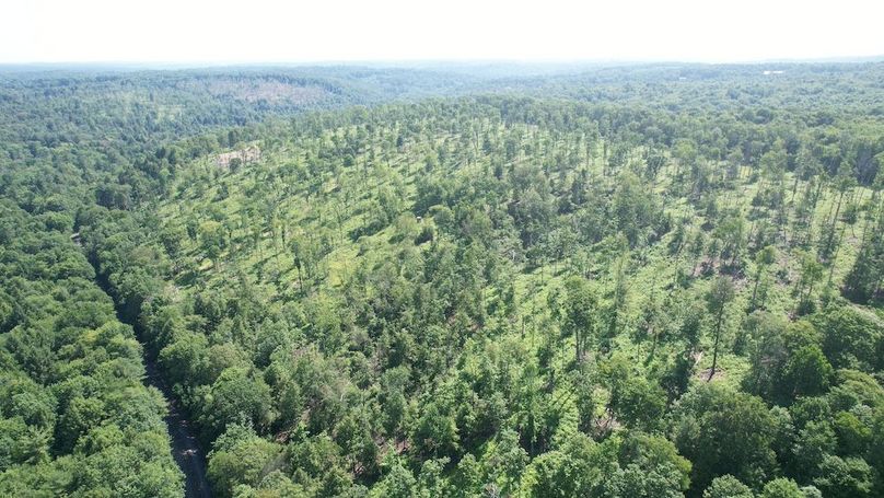 dji_fly_20250624_104258_364_1750776492147_photo