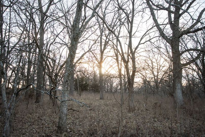 MONTGOMERY CO IA 156.78_44