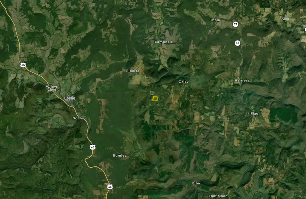 Screenshot 2026-02-03 at 9.41.23 AM