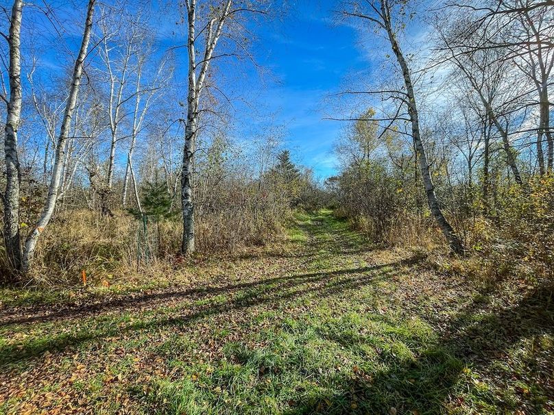 Clark 24.75 Winkel -25