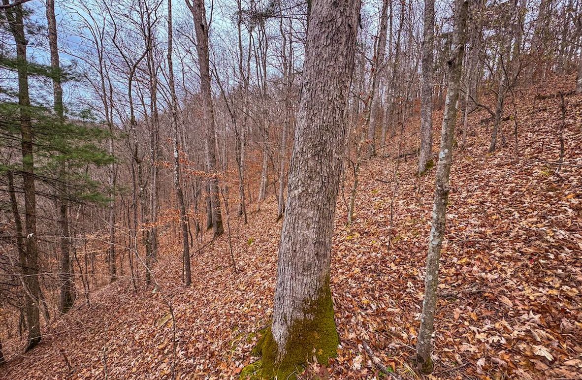 Ritchie, WV 15.5 AC Harper-05