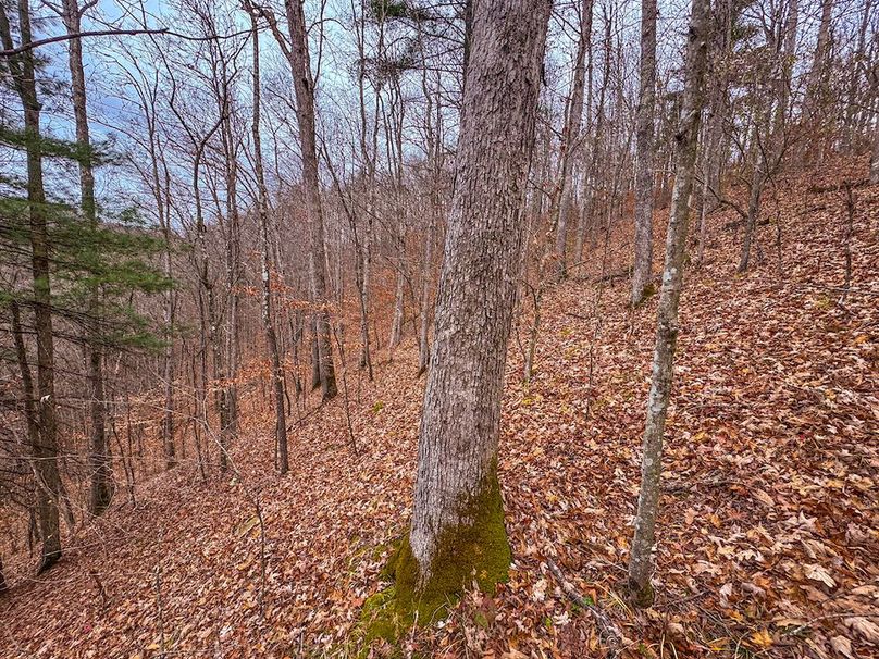 Ritchie, WV 15.5 AC Harper-05