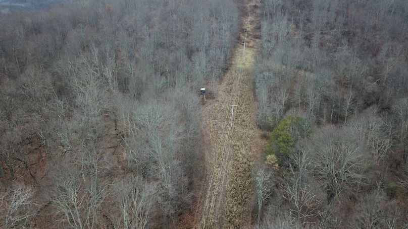 org_4490490c3a62869e_1767821906000