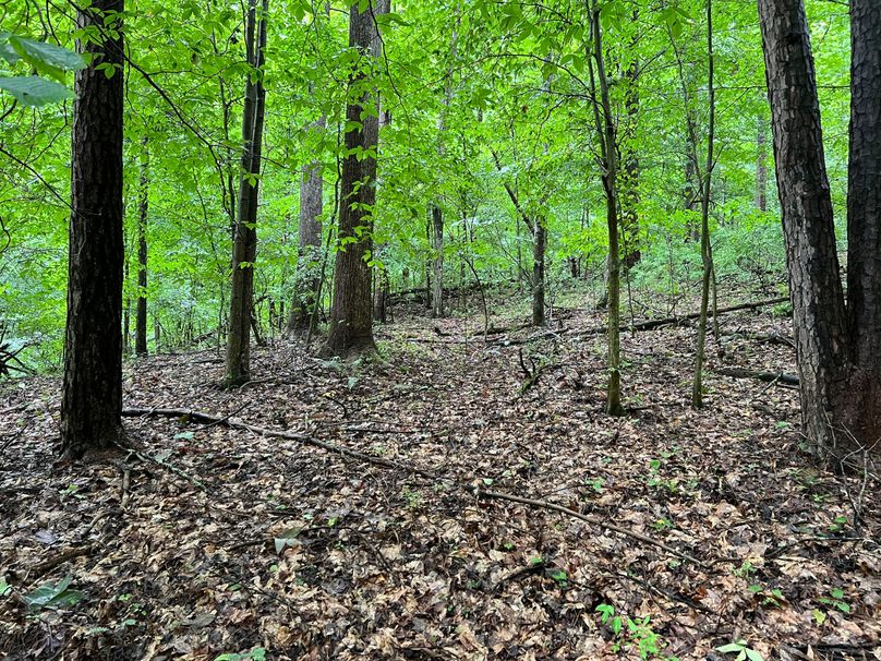 Wirt, WV 150.75 AC Tinnell-22